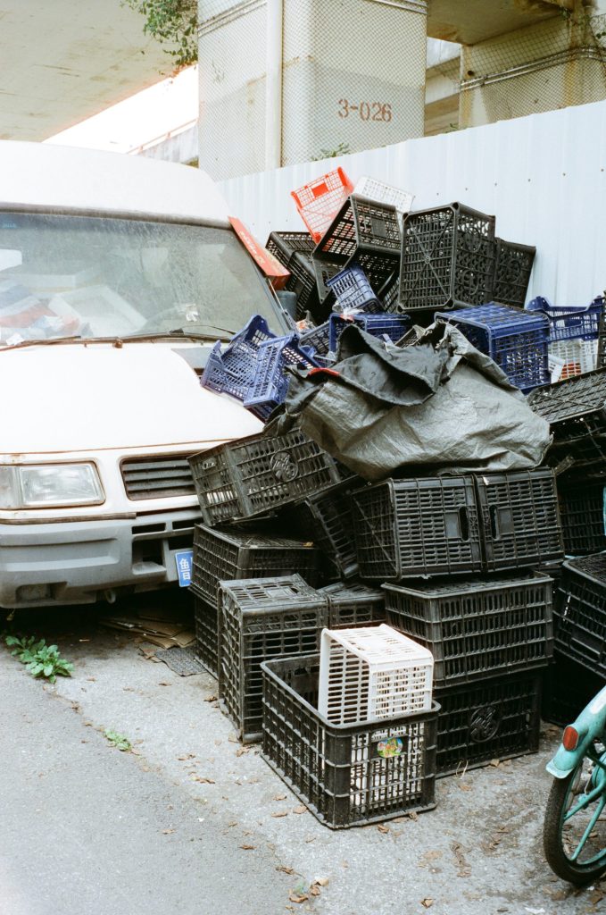 ein Auto mit einem Haufen Vögel darin